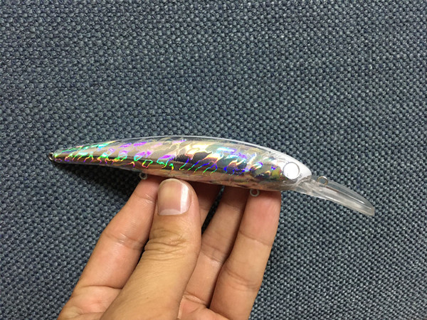  Aorace 20pcs/Lot 11cm/11.73g Unpainted Jerkbaits Blank Lure  Bodies Fishing Floating Laser Minnow with Holographic Insert Hard Lure Body  : Sports & Outdoors